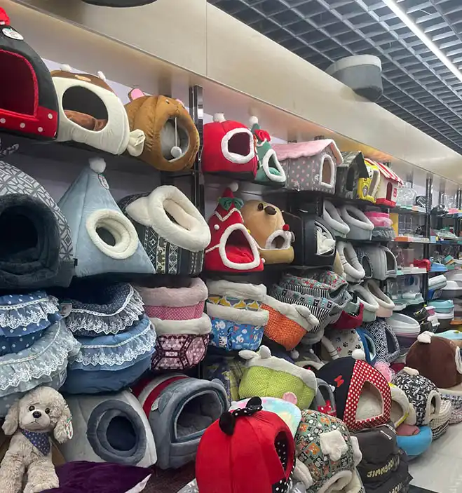 Why Most Pet Product Wholesalers Fail (And How to Outperform the 80%)