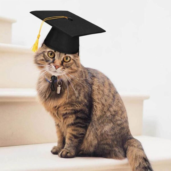 Pet Graduation Set Tassel Hat and Bow - Image 3