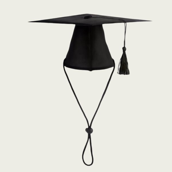 Pet Graduation Set Tassel Hat and Bow - Image 7
