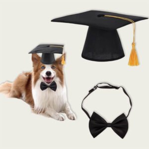 pet graduation set